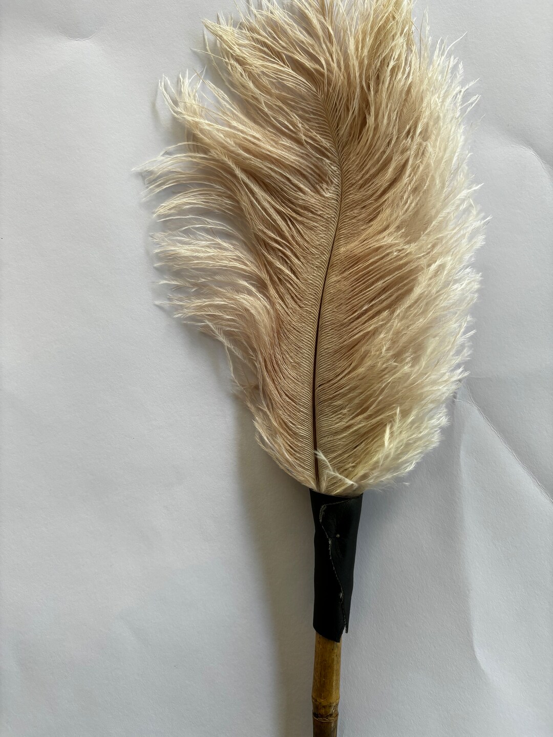 Natural Ostrich Feather Cat Toy With Bamboo Handle-with 2 Feathers - Etsy