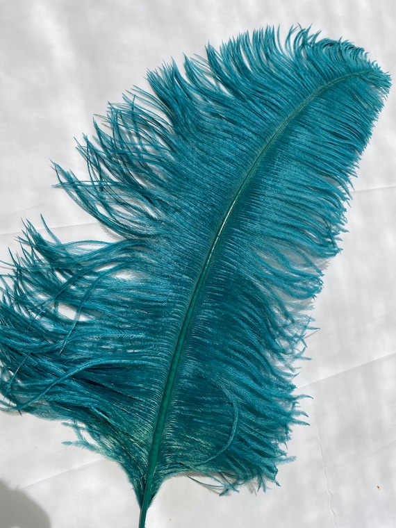 Teal ostrich feathers outlet