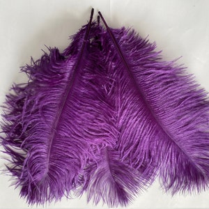 May include: Three long purple ostrich feathers against a white background.