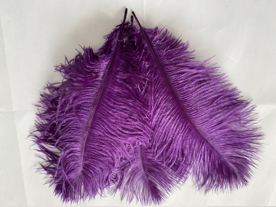 Three 3 Purple First Grade Drabs Ostrich Feathers 11 13 Inch 28 32cm Etsy Canada
