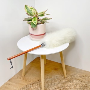 Könnte beinhalten: Ein weißer Staubwedel mit einem Holzstiel auf einem weißen Tisch mit einer Topfpflanze. Die Pflanze steht in einem rosa-weißen Keramiktopf mit geometrischem Muster.