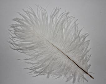 Ten ( 10 ) white first grade soft floss ostrich feathers 23-25cm