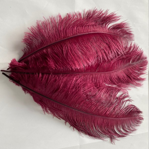 Three ( 3 ) burgundy drabs first grade ostrich feathers 11-13 inch ( 28-32cm )