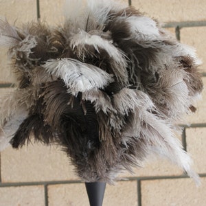 Extra large soft full head ostrich feather duster clear gloss wood handle 90cm overall 36 inch image 1