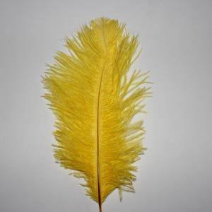 Zehn (10) gelbe Straußenfedern aus weicher Zahnseide, 23-25cm