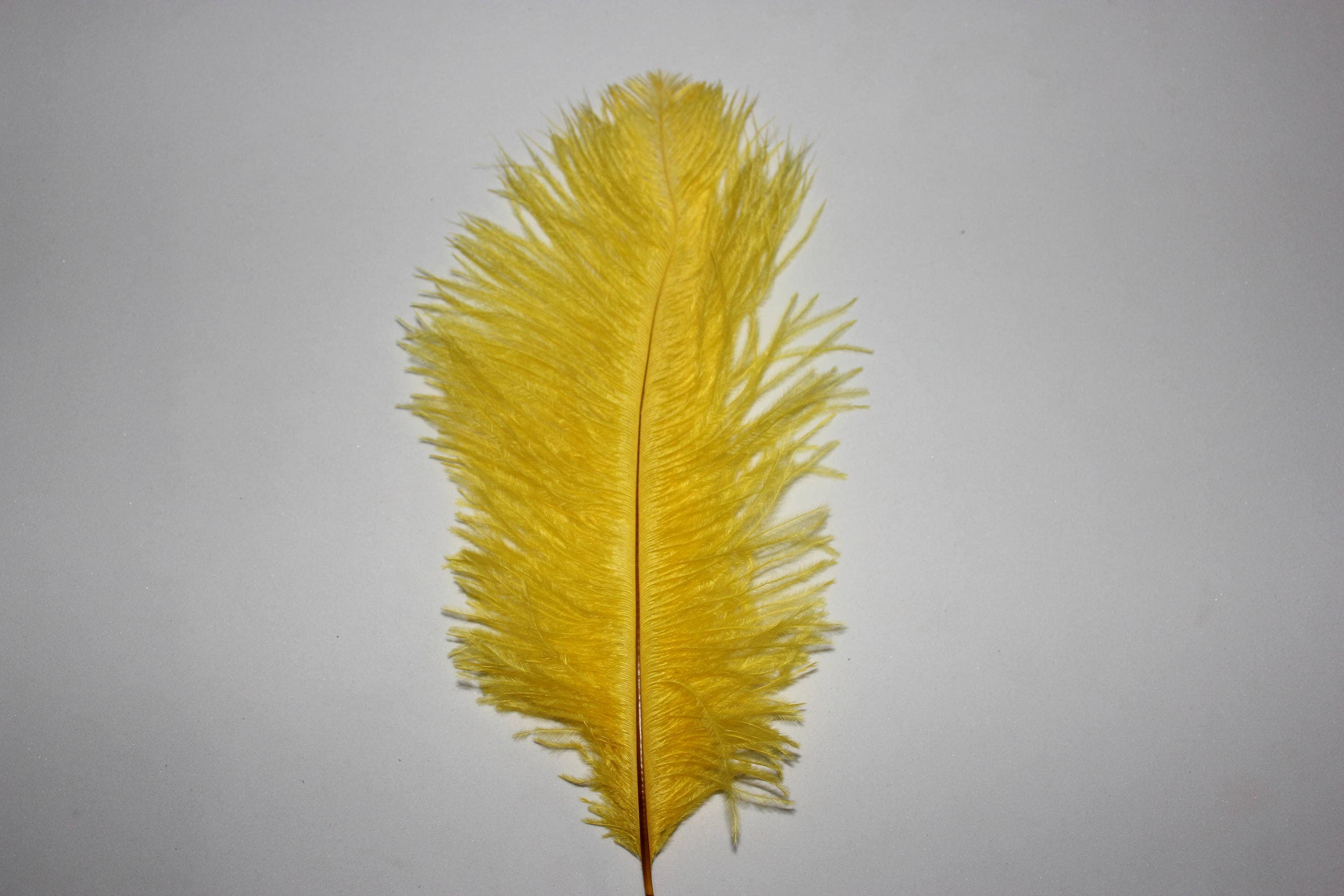 Ten ( 10 ) yellow first grade selected soft floss ostrich feathers 23-25cm