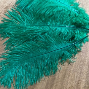 Può includere: Un mazzo di piume di struzzo color turchese. Le piume sono lunghe e soffici, con una texture morbida e delicata.