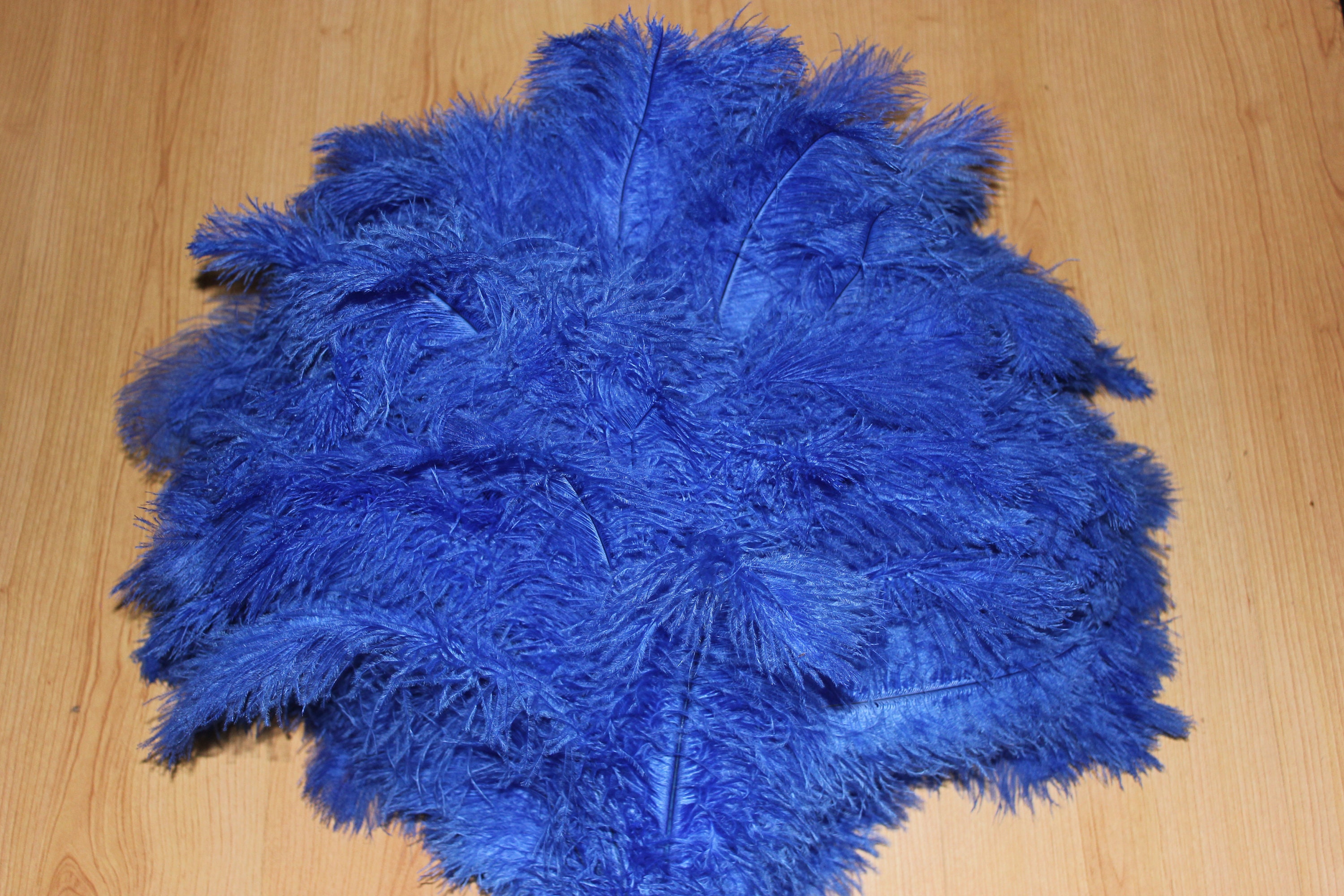Royal Blue Special Ostrich Feather Display Duster 180 Grm Head Etsy