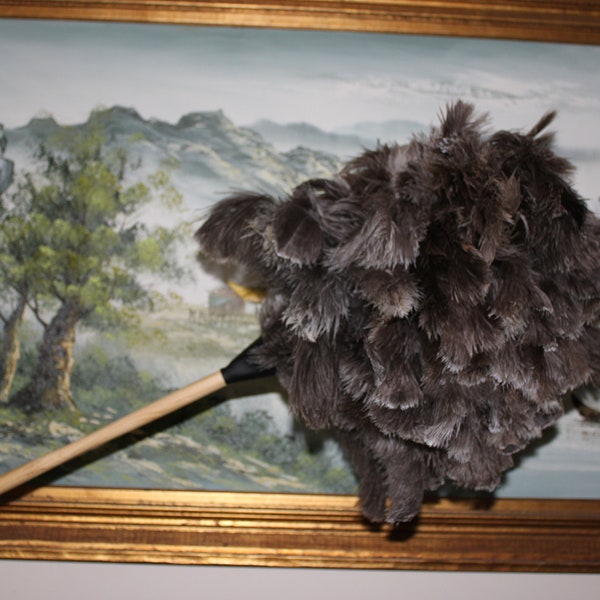 New design model Car cleaning ostrich feather duster with 100 grm massive feather head