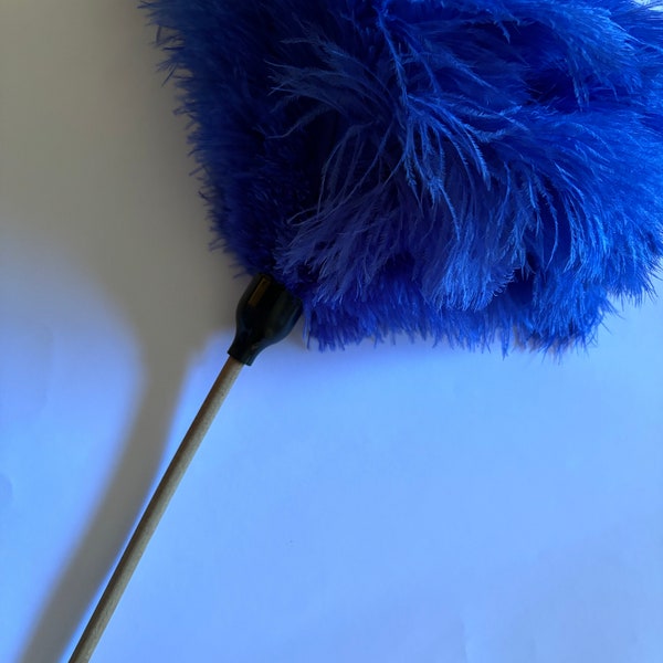 Black Feather Tickler - The BDSM Toy Shop
