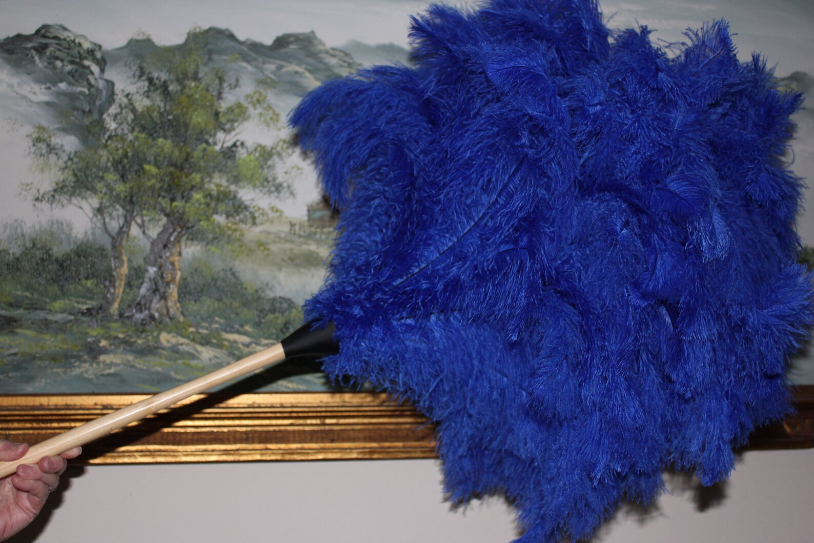 Jumbo very large royal blue ostrich feather display duster | Etsy