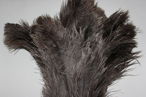 large ostrich feathers for sale