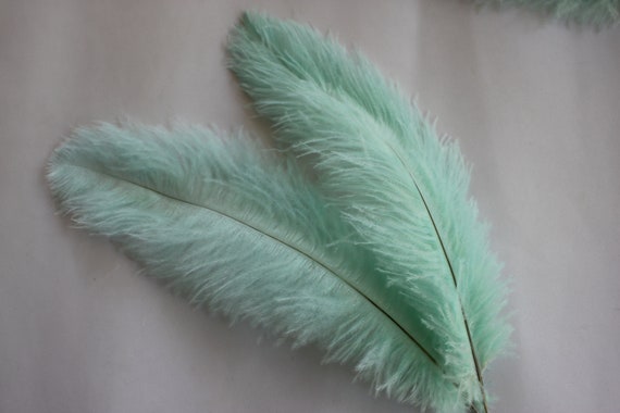 50 Fifty yellow ostrich blondene feather first A grade 350-400MM