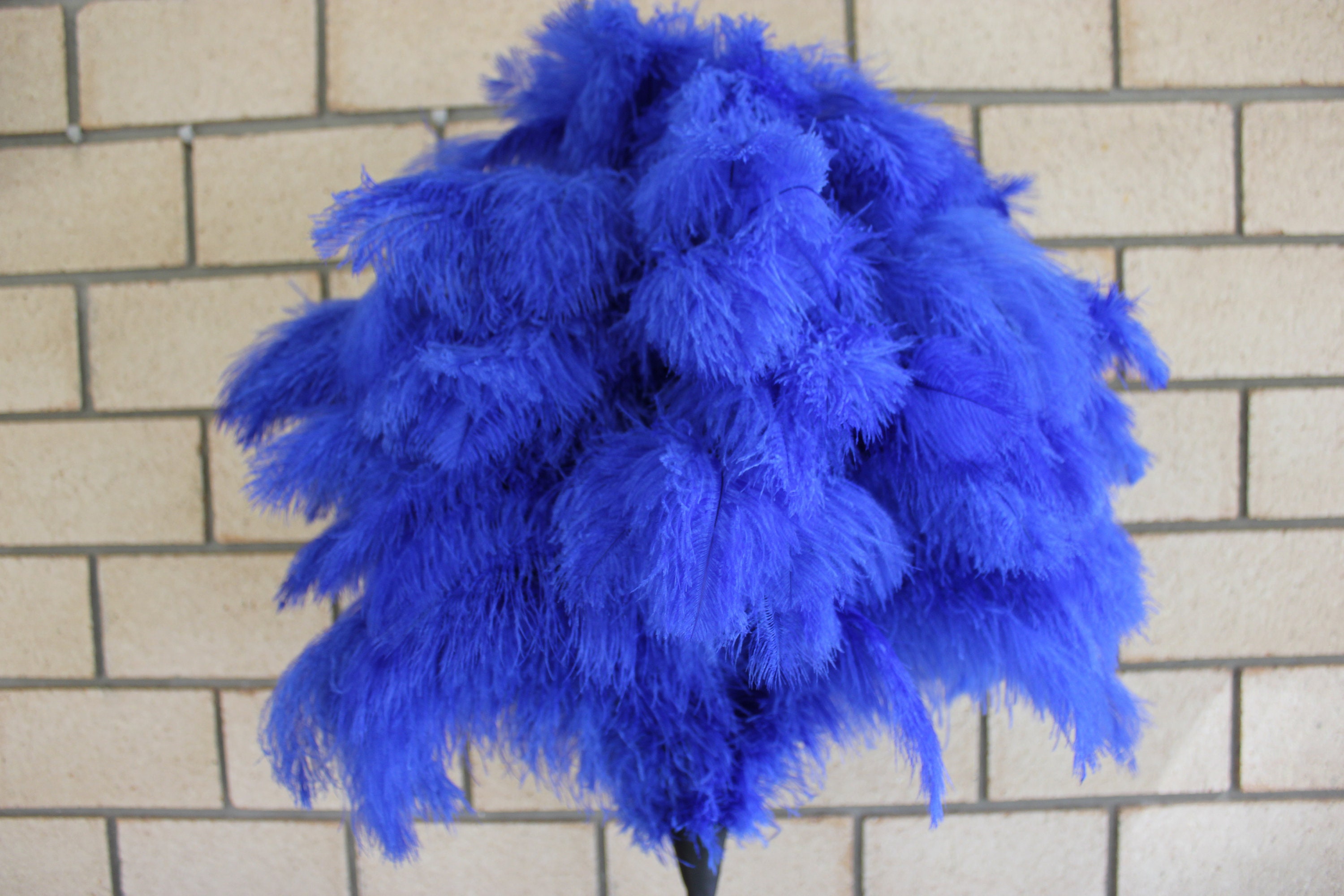 Royal Blue Special Ostrich Feather Display Duster 180 Grm Head Etsy