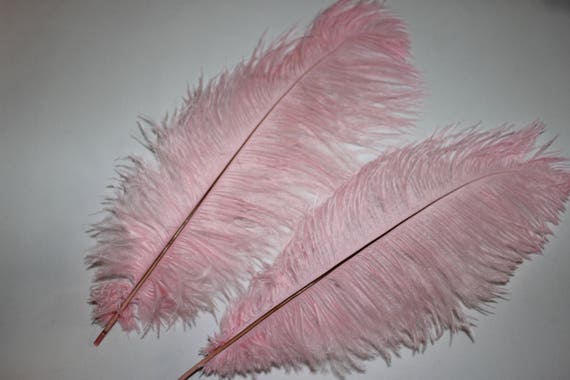 25 white soft  blondenes ostrich feathers first grade 35-40cm for displays 