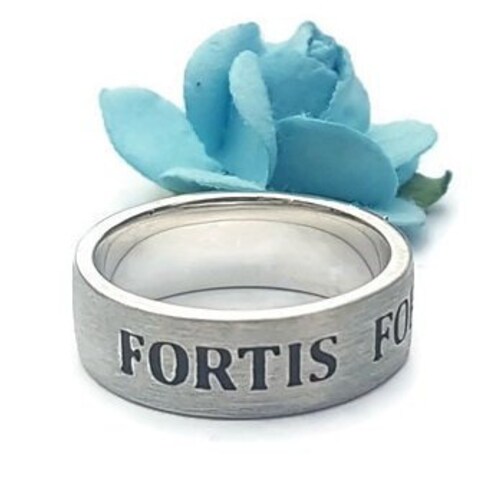 Fortune Favors the Bold Fortis Fortuna Adiuvat Latin Quote - Etsy