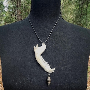 Raccoon jaw bone pendant necklace. bone necklace. gothic necklace. animal bone jewelry. goth bone necklace. unique jewelry. witch jewelry.