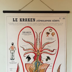 Groot bord de KRAKEN (60X80 cm) "Fantastic Creatures Deyrolle" gesigneerd door de kunstenaar
