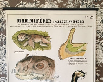 Very large board the MONSTER of LOCH NESS (80X100 cm) "Fantastic Creatures Deyrolle"