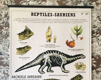 Very large LE MOKÉLÉ board (80X100 cm) "Fantastic Creatures Deyrolle"