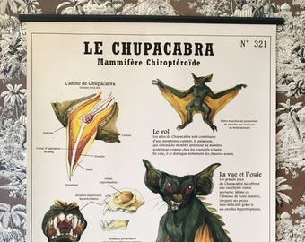 Very large board LE CHUPACABRA (80X100 cm) "Fantastic Creatures Deyrolle"