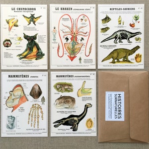 Lot de 5 cartes postales "Créatures Cryptozoologiques " - planches Deyrolle par l'artiste Camille Renversade