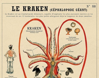 The Kraken - Deyrolle cabinet of curiosities poster by the artist Camille Renversade