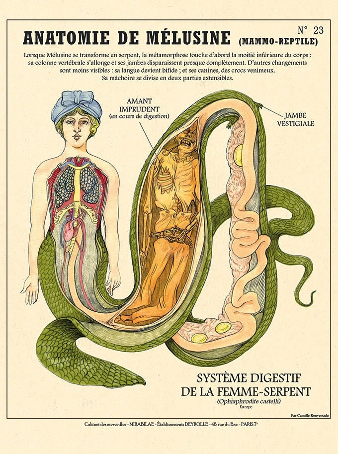 Mélusine Femme-serpent Affiche cabinet de curiosités - Etsy France