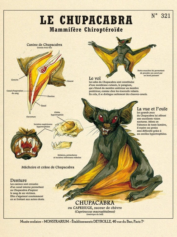 Le CHUPACABRA - Affiche créatures fantastiques Deyrolle