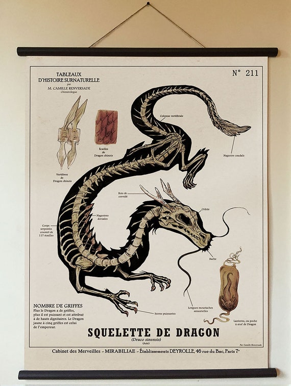 Large Plate the CHINESE DRAGON (60X80 Cm) 