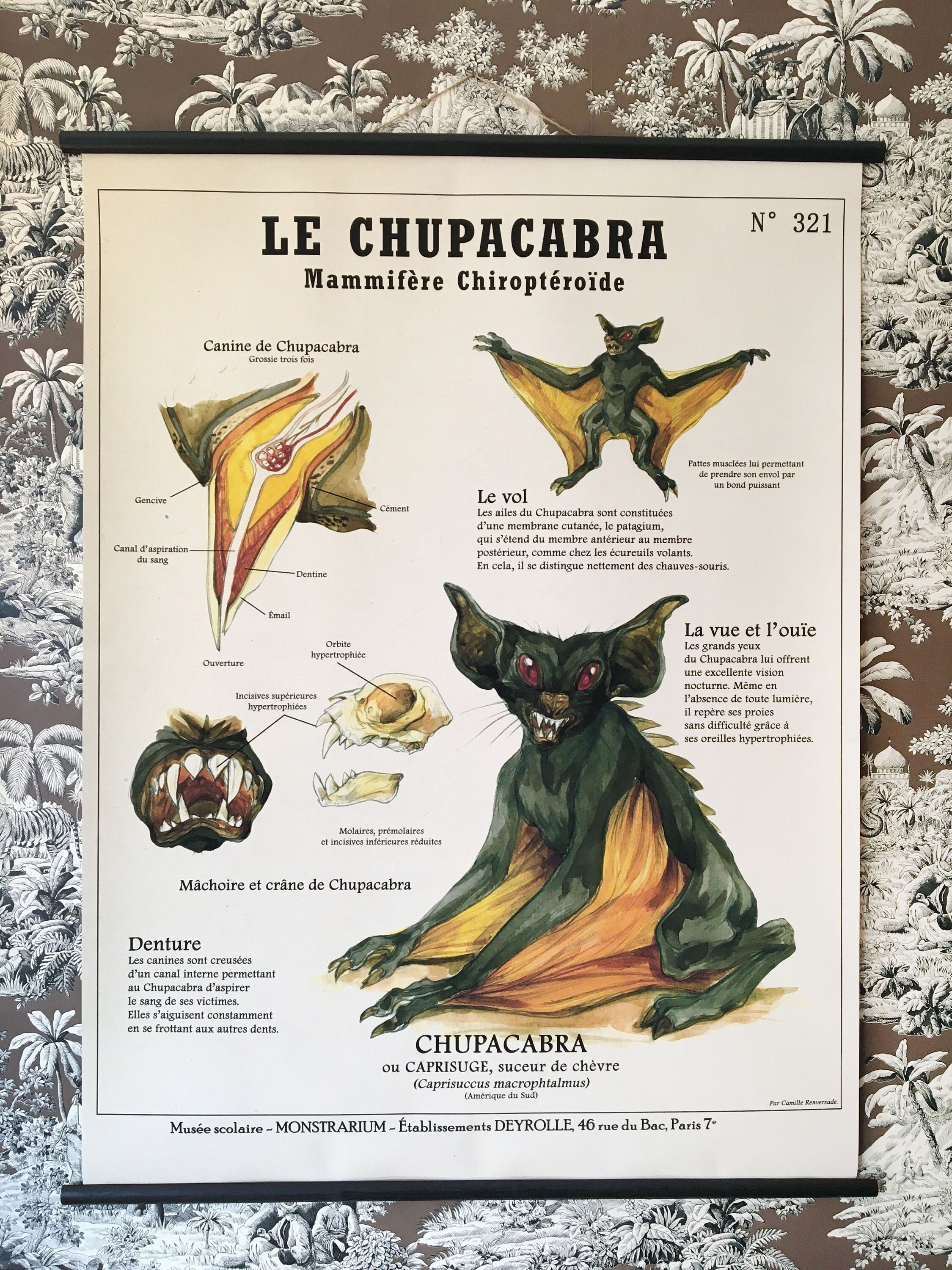 Very Large Board the CHUPACABRA (80X100 Cm) 