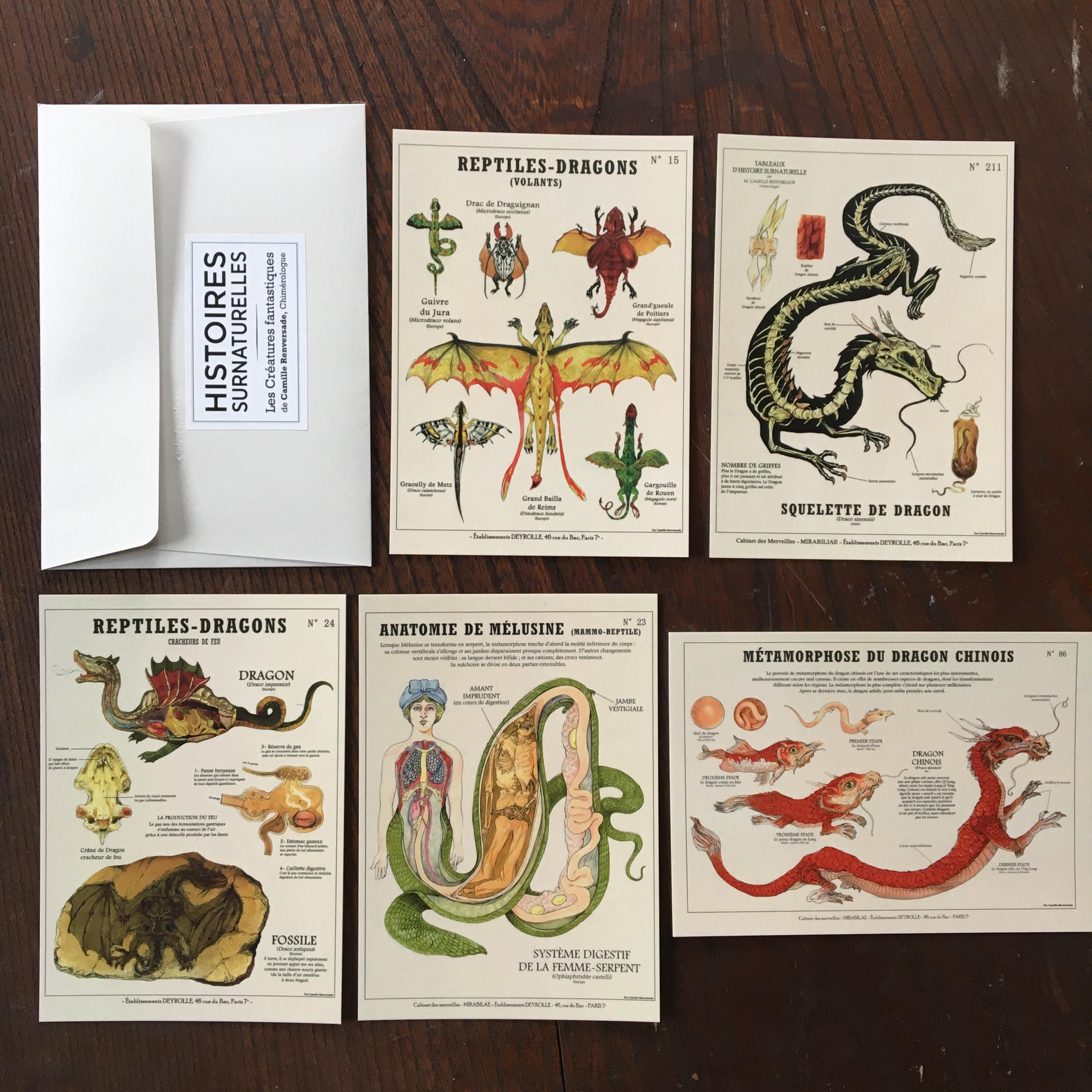 CuriositesRenversade - Etsy