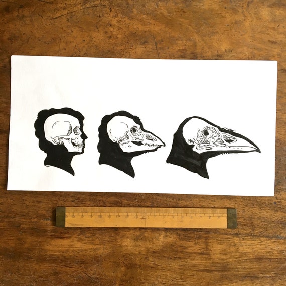 Dessin Original La Femme Oiseau Métamorphoses Deyrolle Par Camille Renversade