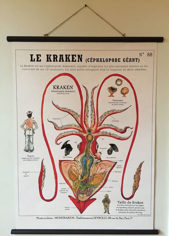 Grande Planche le KRAKEN (60X80 cm) 