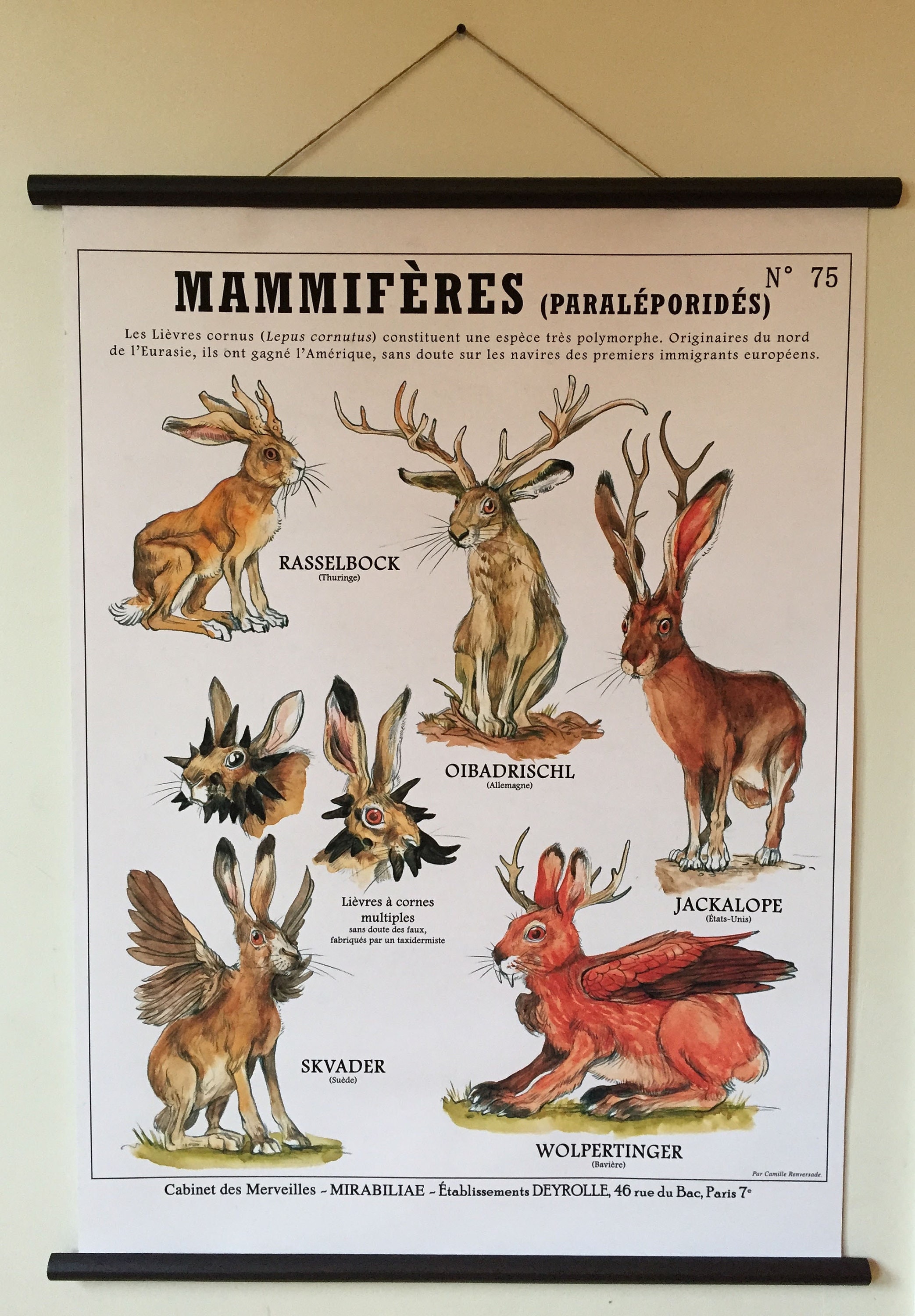 Large Plate HORNED HARES (60X80 Cm) 