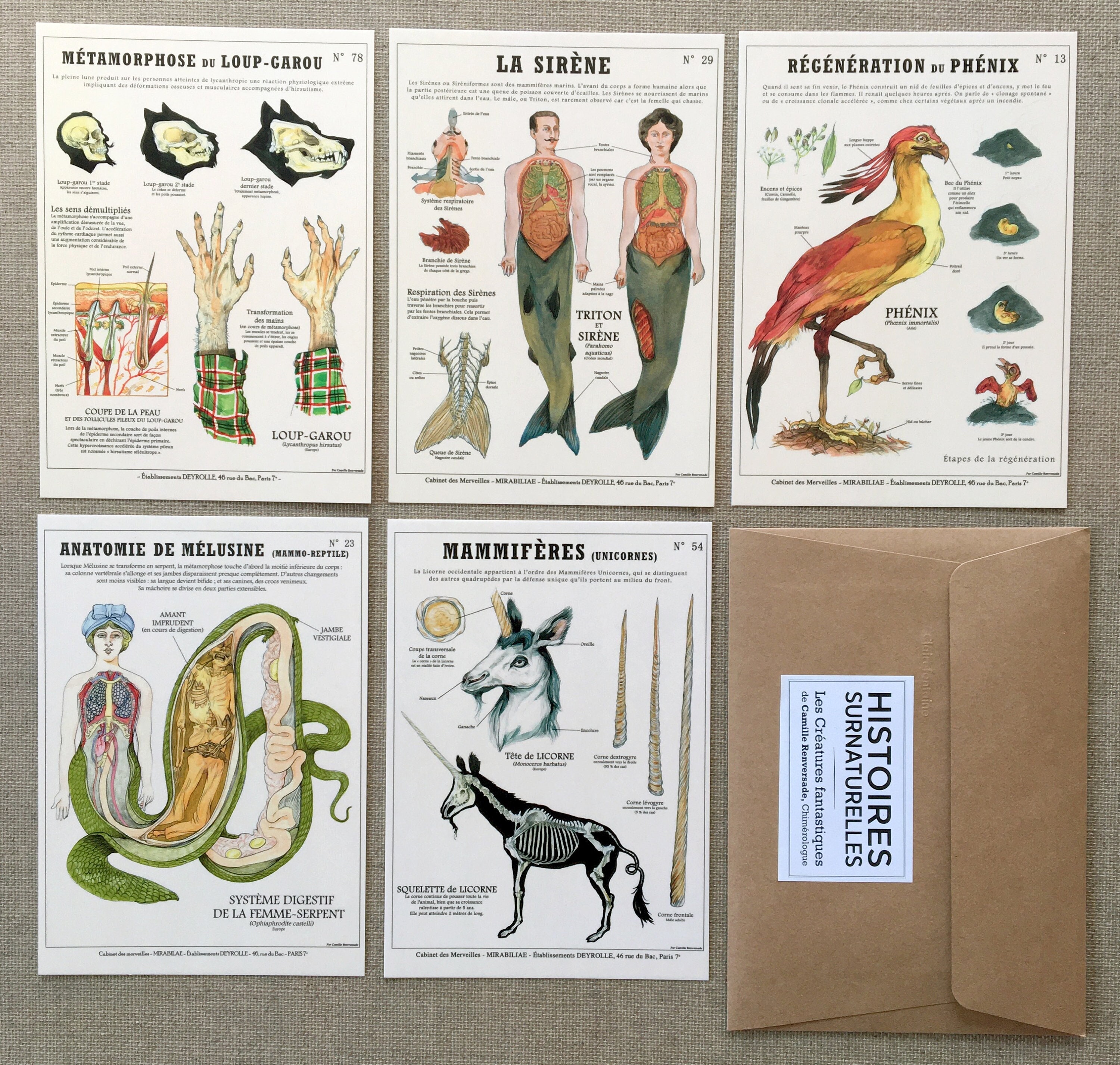 Créatures fantastiques 　DEYROLLE Amazon.com: Créatures fantastiques Deyrolle: 9782366720532