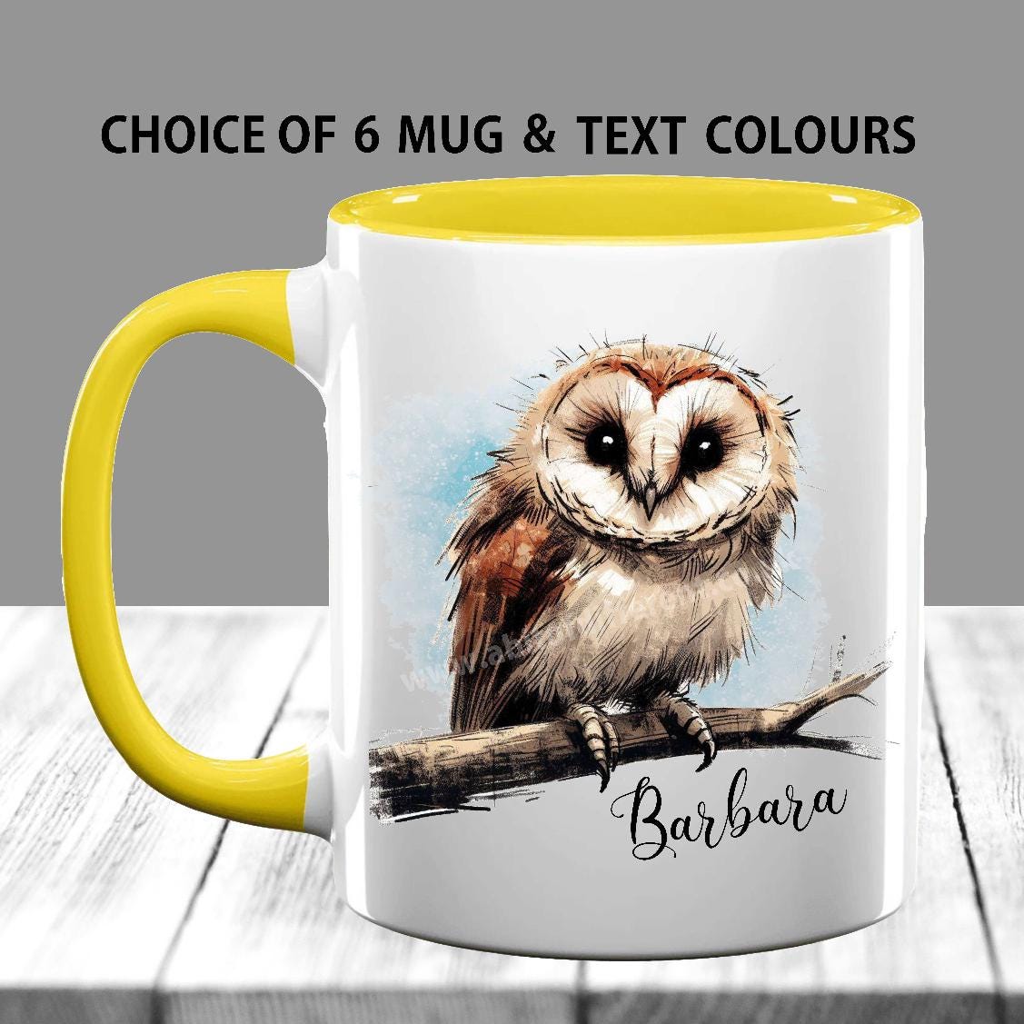 Personalised Barn Owl Mug: Custom Bird Lover Gift with Optional Coaster