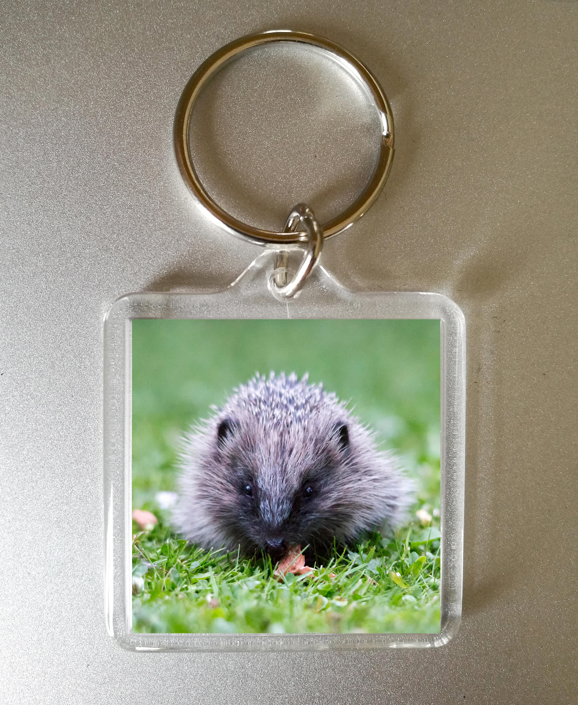 Hedgehog Keyring Photo Gift Hedgehog Custom Photo Gift Etsy