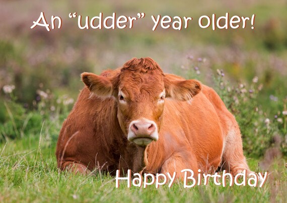 Happy Birthday Funny Cow Images Cow Birthday Card Funny Birthday Card Funny Saying Card - Etsy Singapore