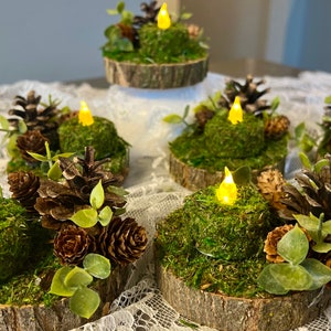 May include: Set of six rustic candle holders with a woodland theme. Each holder features a small wooden slice topped with moss, pine cones, and greenery. A small LED tea light sits in the center of each holder.