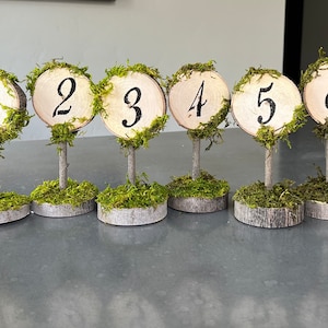 Wood Moss Table Numbers/ Wedding/Enchanted Forest/ Birthday/Fairy/Elvin/lord of the rings/ nature wedding