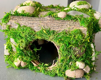 Reptile Hide Fairy House Large