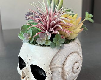 Skull Halloween Succulent Centerpiece