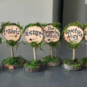 May include: Six wooden signs with moss and arrows pointing in different directions. The signs read: Diagon Alley, Hogwarts, Hogsmeade, The Forbidden Forest, Knockturn Alley, and Ollivanders.