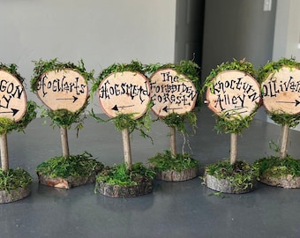 May include: Six wooden signs with moss and arrows pointing in different directions. The signs read: Diagon Alley, Hogwarts, Hogsmeade, The Forbidden Forest, Knockturn Alley, and Ollivanders.