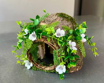 Fairy House Reptile Hide