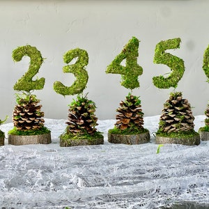 1 Pinecone Table Number Centerpiece