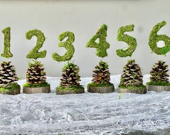 1 Pinecone Table Number/ Wedding/party/Enchated forest/ lord of the rings/fairy party/sweet 16/wedding