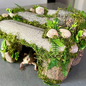 May include: A miniature reptile habitat constructed from wood, stones, and moss. The structure features a small cave-like opening, with a reptile visible inside. Green foliage and small rocks are incorporated into the design, creating a naturalistic environment.