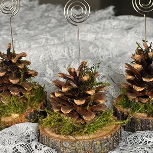 12 pc Pinecone Name place card holders/ wedding/ Enchanted forest/ fairy/ Birthday/ Lord of the Rings/ Hobbit / woodland